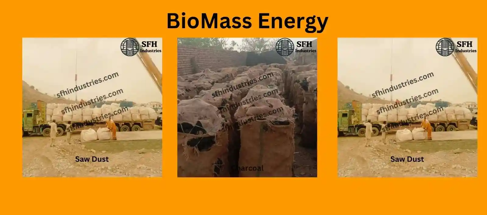 biomass fuel supplier and exporters Pakistan